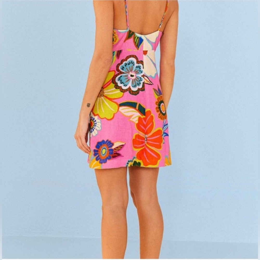 Farm Rio Pink Full Garden Mini Dress Floral Pink Sleeveless Dress Anthropologie - Picture 3 of 4